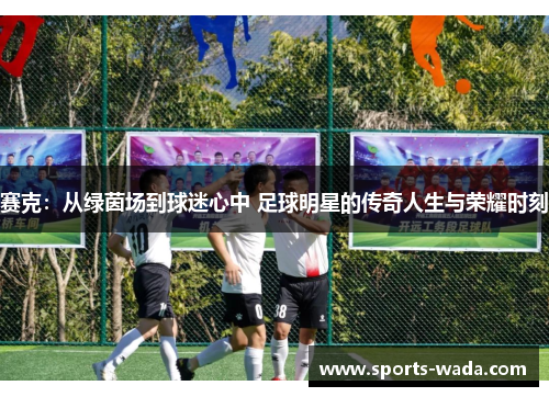 赛克：从绿茵场到球迷心中 足球明星的传奇人生与荣耀时刻